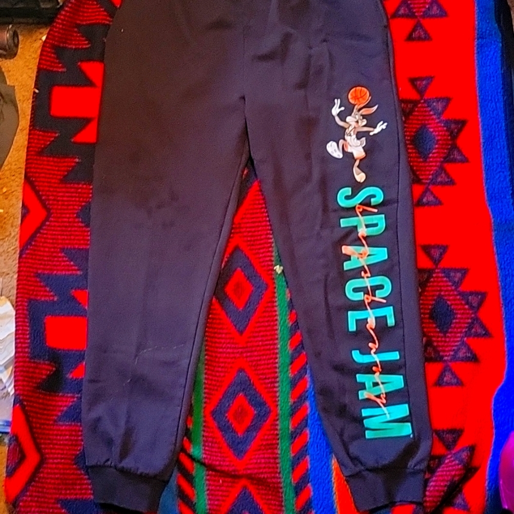 Space jam sweat pants